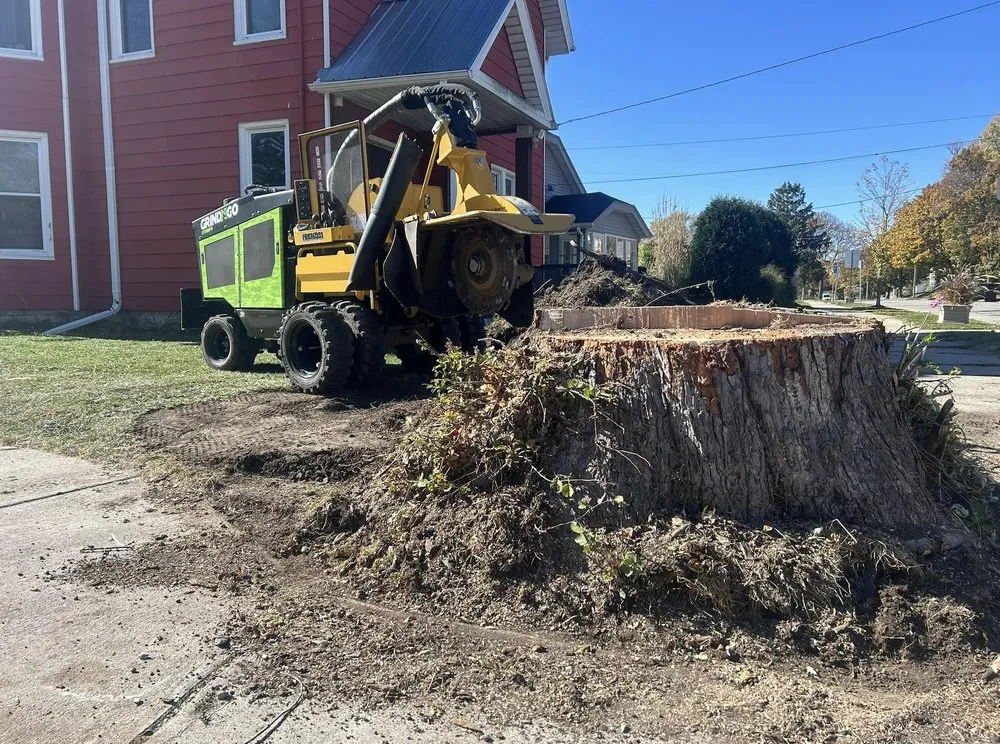 Reliable garden landscaping in Lannon, WI - GrindNGo Stumps