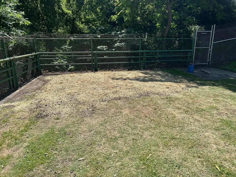 Expert lawn care service with custom design across Lannon, WI - GrindNGo Stumps