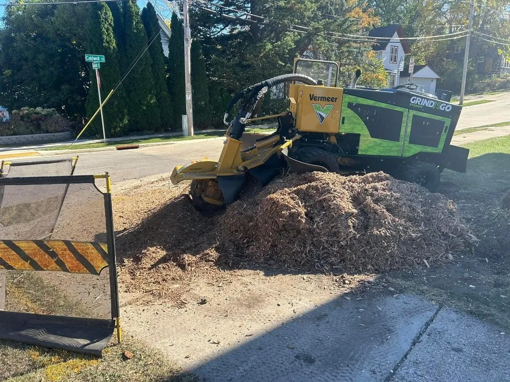 Reliable residential landscaping with custom design in Lannon, WI by GrindNGo Stumps