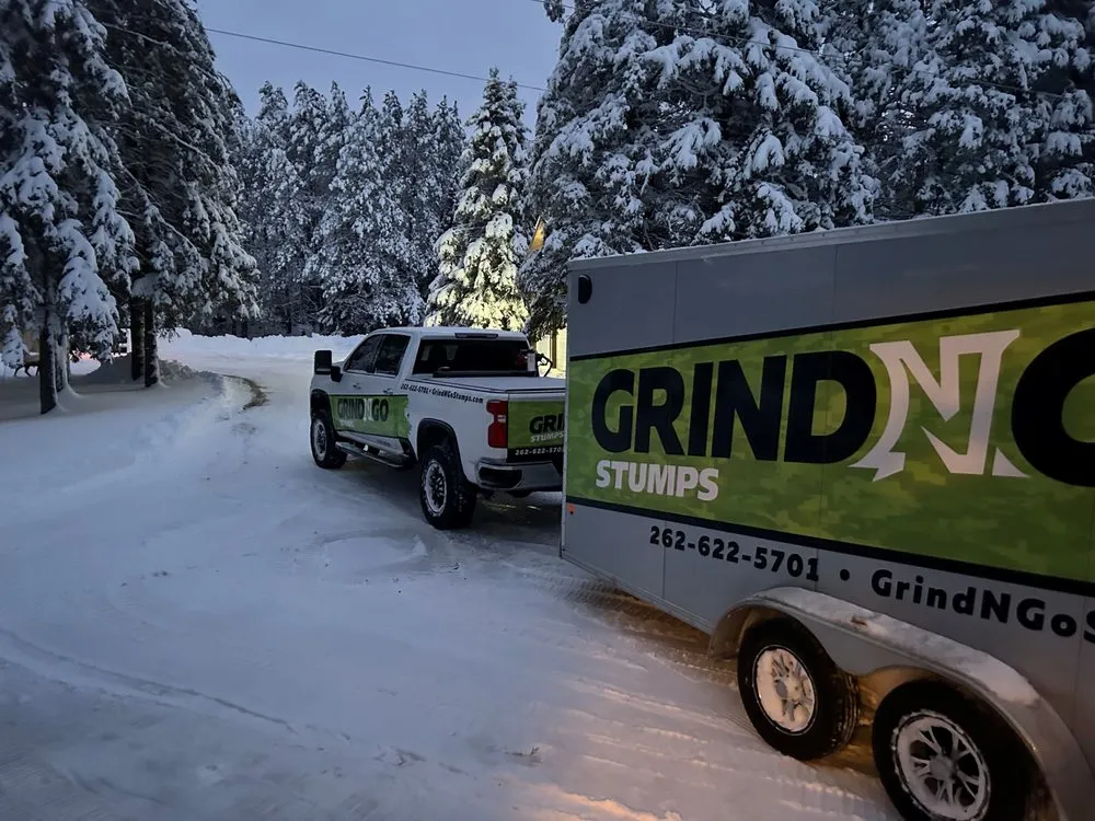 Reliable yard cleanup service in Lannon, WI by GrindNGo Stumps