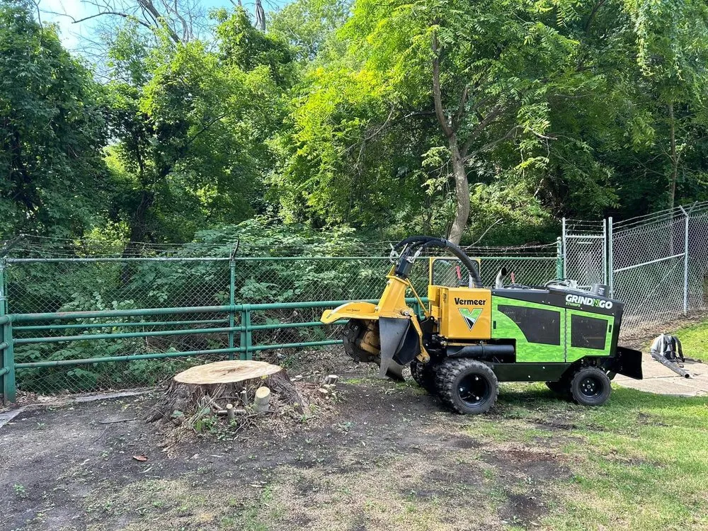 Reliable garden landscaping experts serving Lannon, WI - GrindNGo Stumps