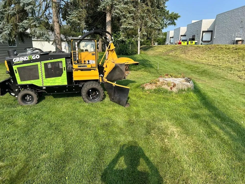 Top-rated landscape installation in Lannon, WI by GrindNGo Stumps