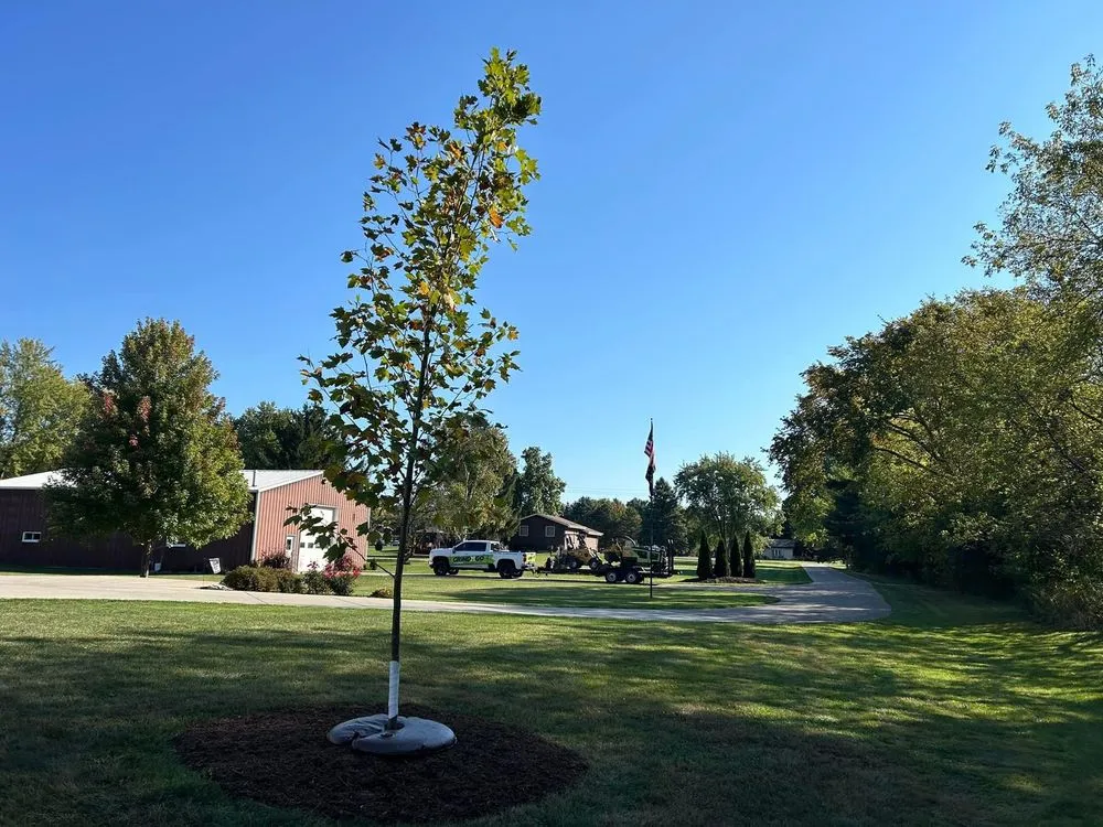 Custom outdoor landscaping in Lannon, WI - GrindNGo Stumps