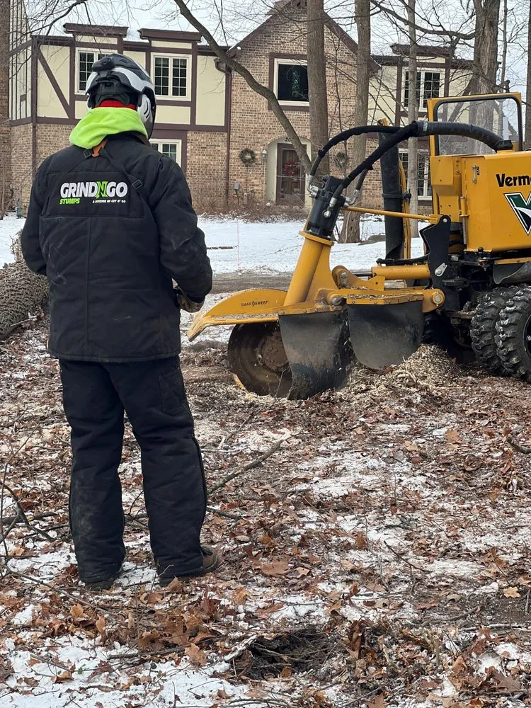 Expert lawn care service experts serving Lannon, WI - GrindNGo Stumps