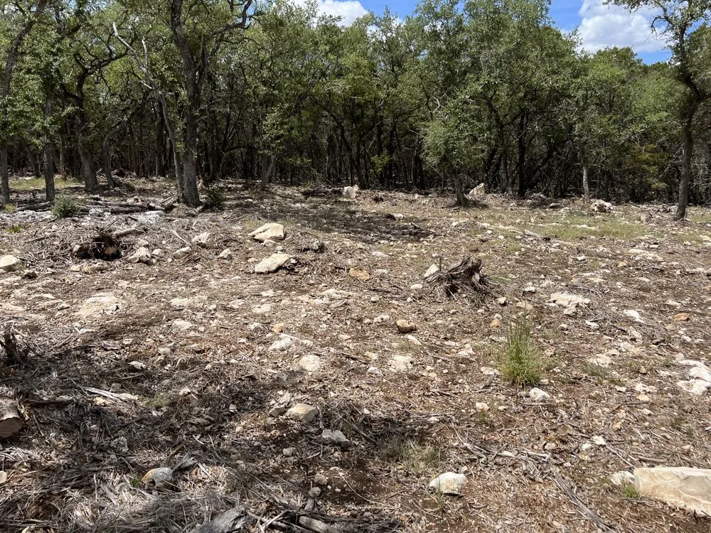 Trusted lawn care service in New Braunfels, TX by Grindstone Sitework