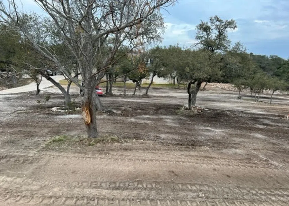 Expert yard cleanup service in New Braunfels, TX - Grindstone Sitework