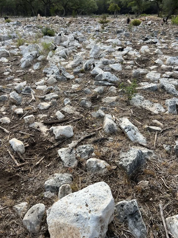 Affordable lawn mowing service experts serving New Braunfels, TX - Grindstone Sitework