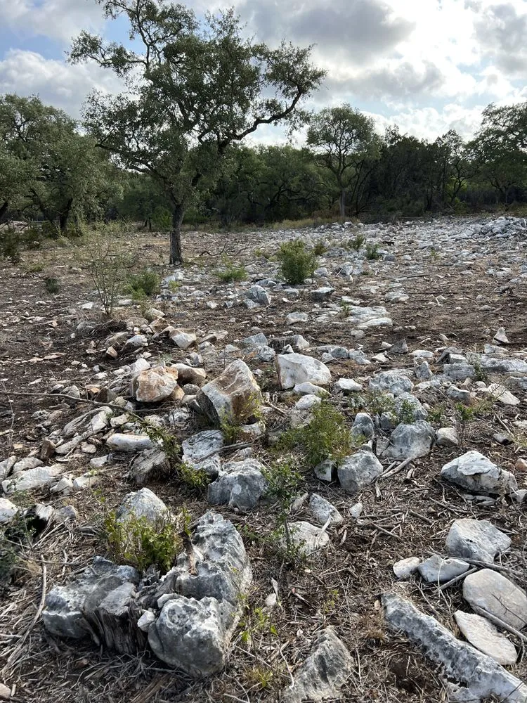 Local landscaping services for year-round maintenance in New Braunfels, TX by Grindstone Sitework