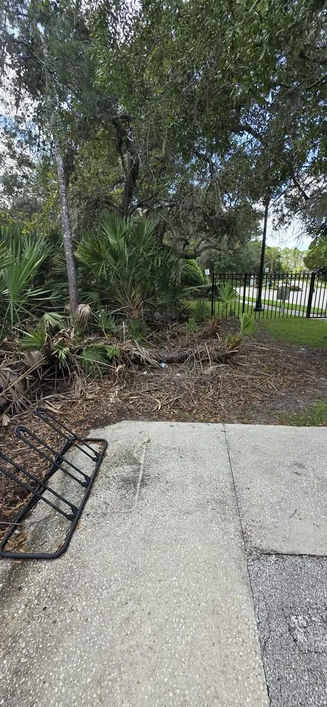 Reliable lawn care service in Bunnell, FL by Grindstone Tree Service and Land Worx