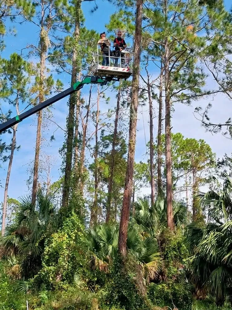 Local landscape installation for beautiful yards in Bunnell, FL by Grindstone Tree Service and Land Worx