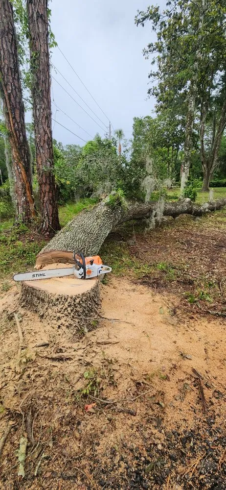 Expert landscape design in Bunnell, FL - Grindstone Tree Service and Land Worx