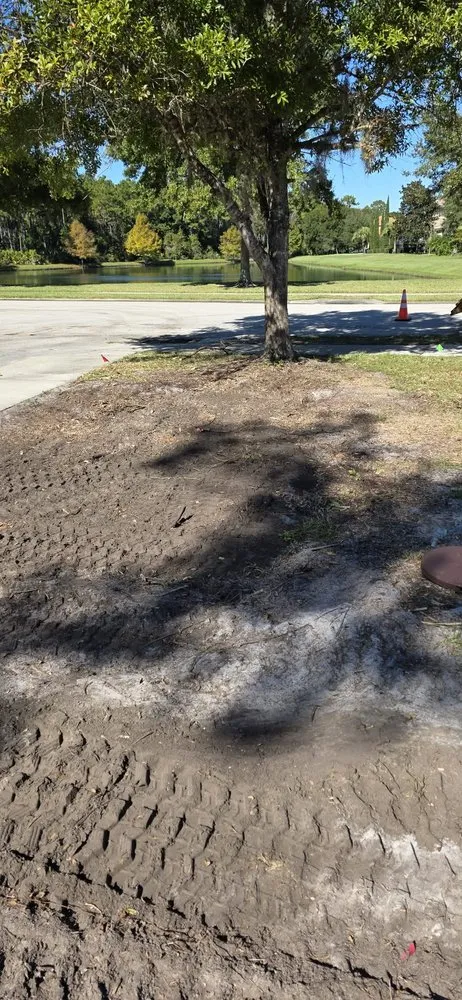 Professional landscape design in Bunnell, FL by Grindstone Tree Service and Land Worx