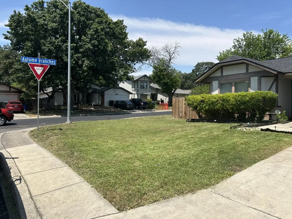 Reliable yard cleanup service in San Antonio, TX by Gringo Y Amigo Lawn Care