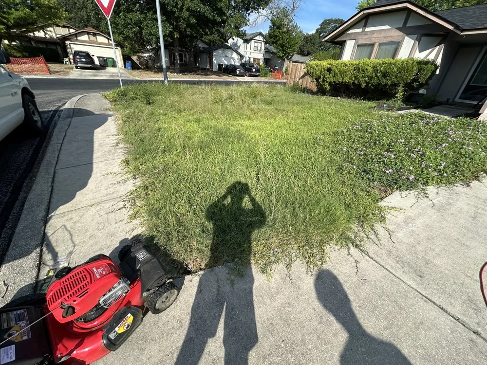 Reliable garden landscaping in San Antonio, TX - Gringo Y Amigo Lawn Care