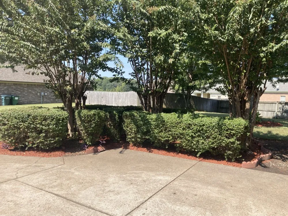 Professional yard maintenance with custom design across Coldwater, MS - Grips Landscaping