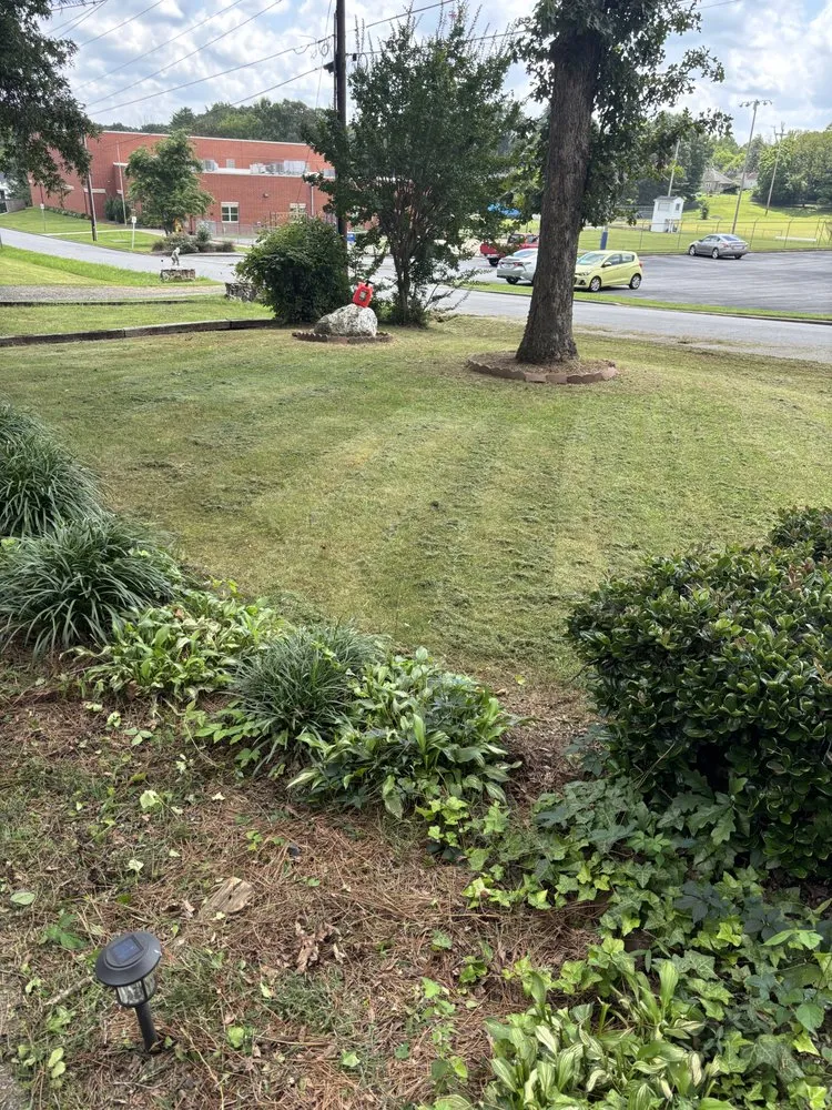 Affordable lawn care service in Greensboro, NC - Grit & Shine