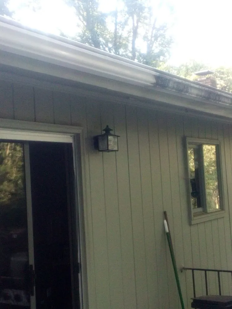 Professional residential landscaping with custom design in Greensboro, NC by Grit & Shine