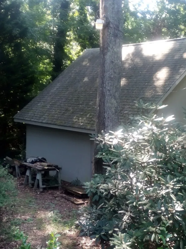 Top-rated yard cleanup service for homes across Greensboro, NC - Grit & Shine