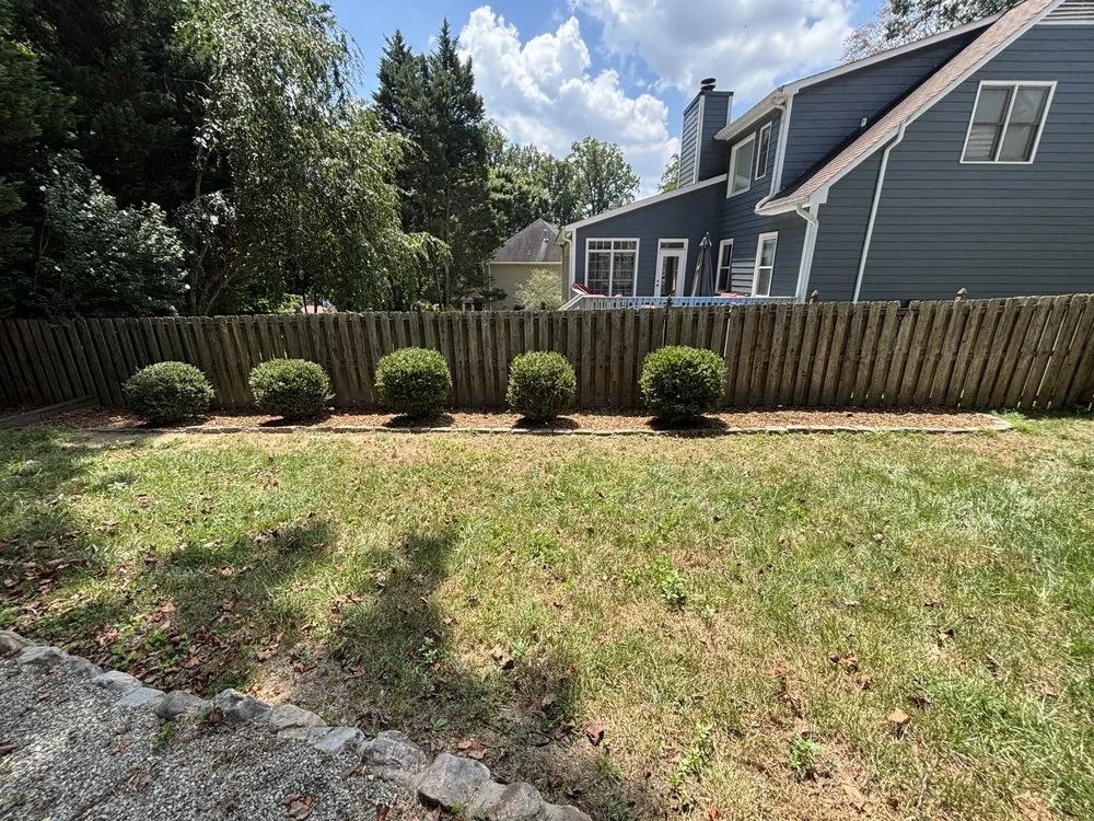 Professional yard cleanup service experts serving Greensboro, NC - Grit & Shine