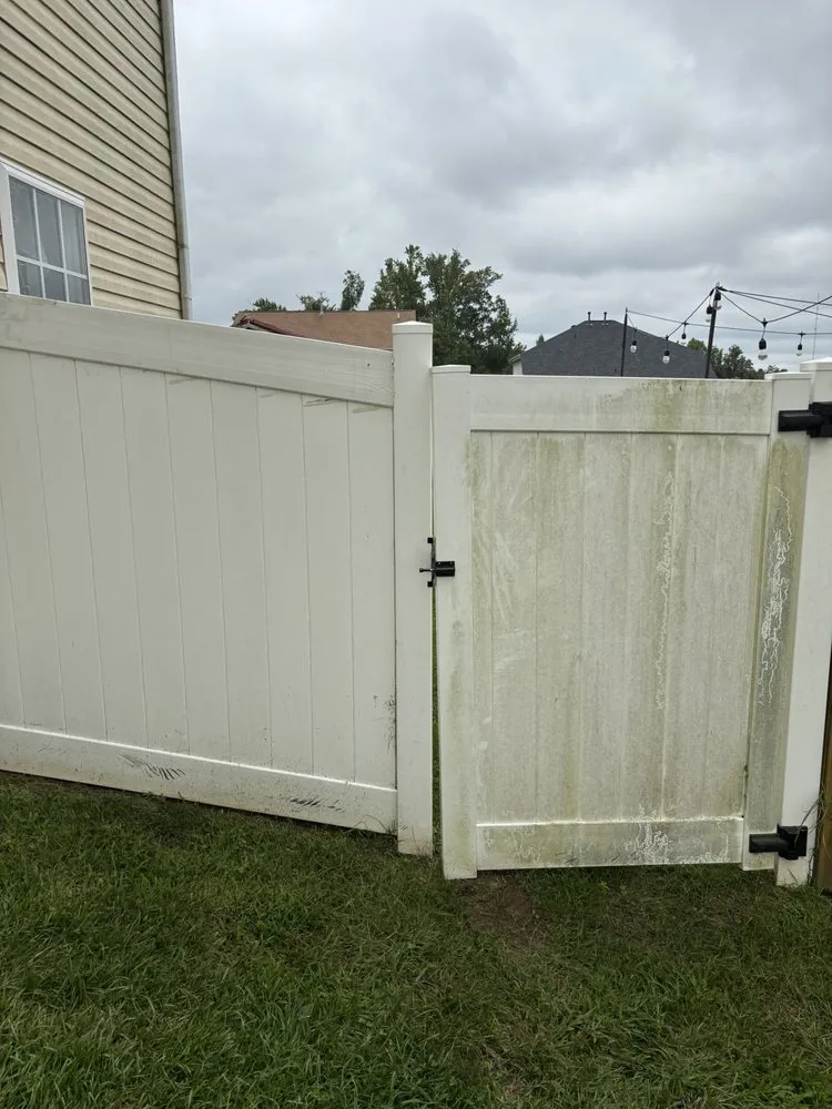 Expert residential landscaping in Greensboro, NC by Grit & Shine