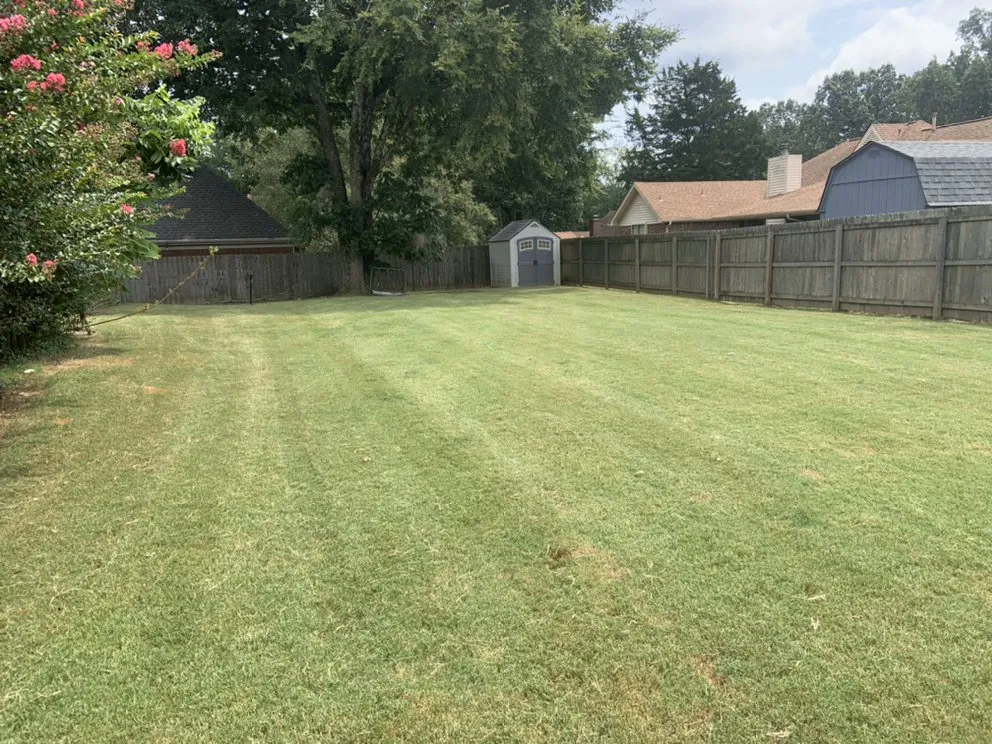 Expert lawn care service experts serving Memphis, TN - Grit and Grind Lawn and Landscape