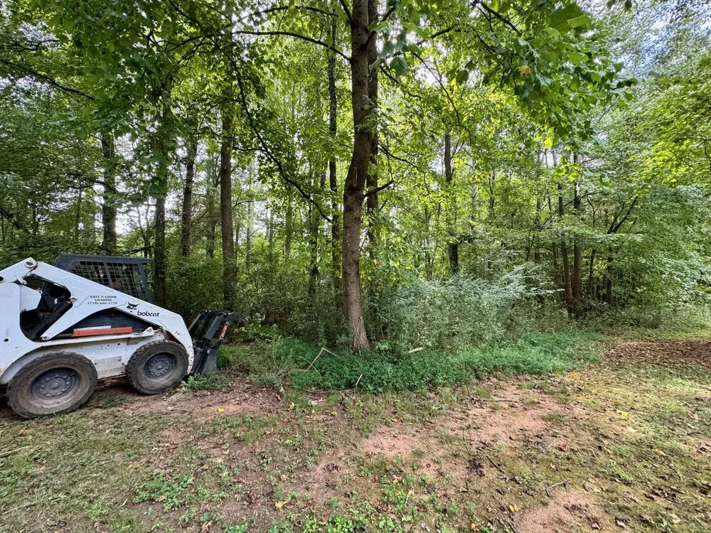 Professional yard cleanup service in Bishop, GA by Grit N Grind Grading