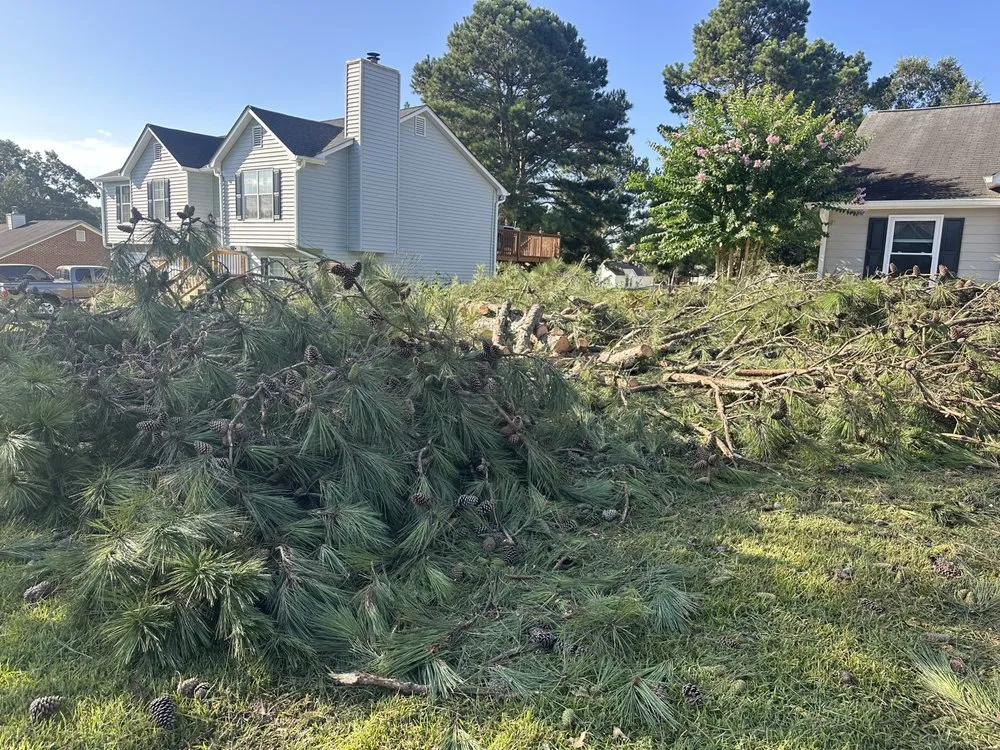 Top-rated landscaping services in Bishop, GA by Grit N Grind Grading