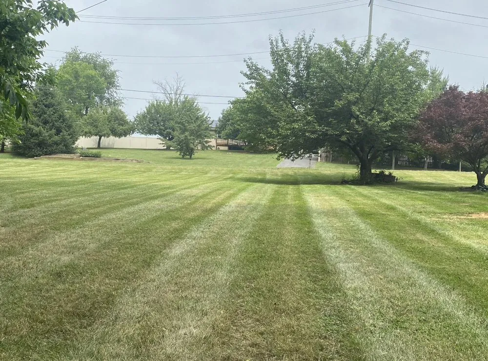 Reliable landscape installation for beautiful yards across Walkersville, MD - Gritty Landscapes