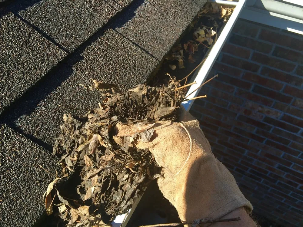 Top-rated garden landscaping with custom design in Nixa, MO by GRIZ Home & Yard Improvements