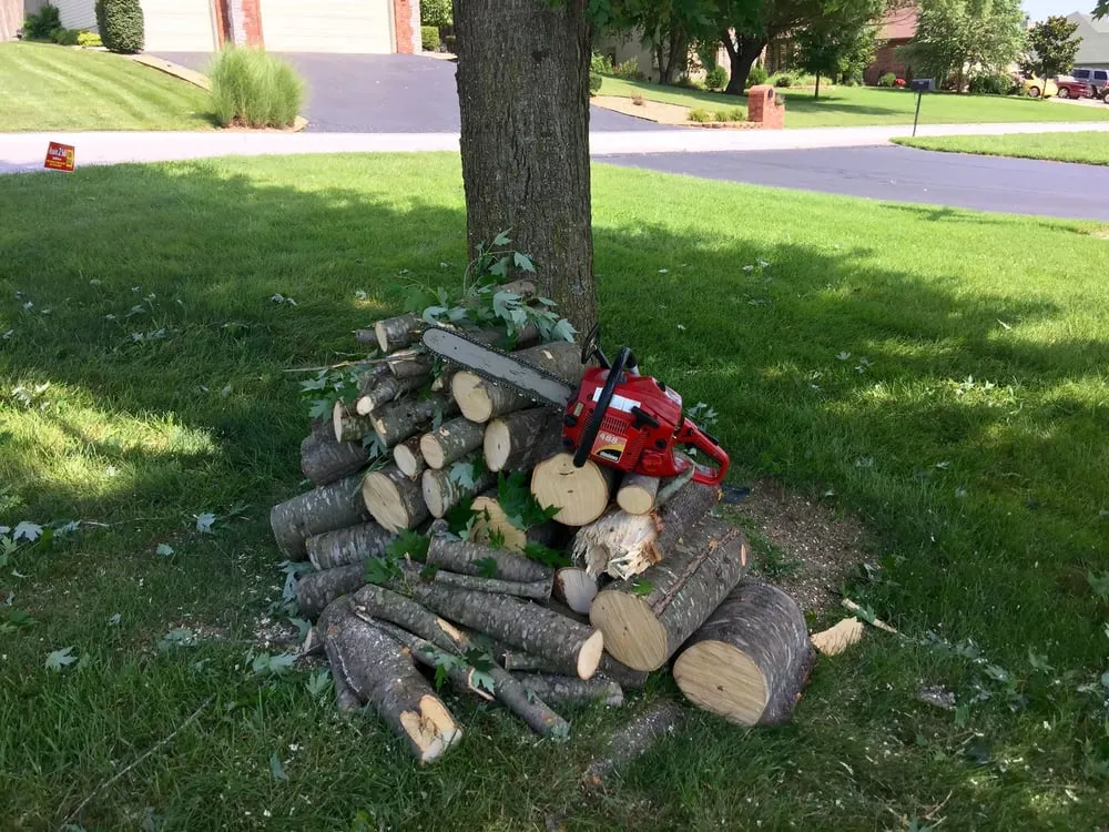 Local landscape installation for outdoor upgrades across Nixa, MO - GRIZ Home & Yard Improvements