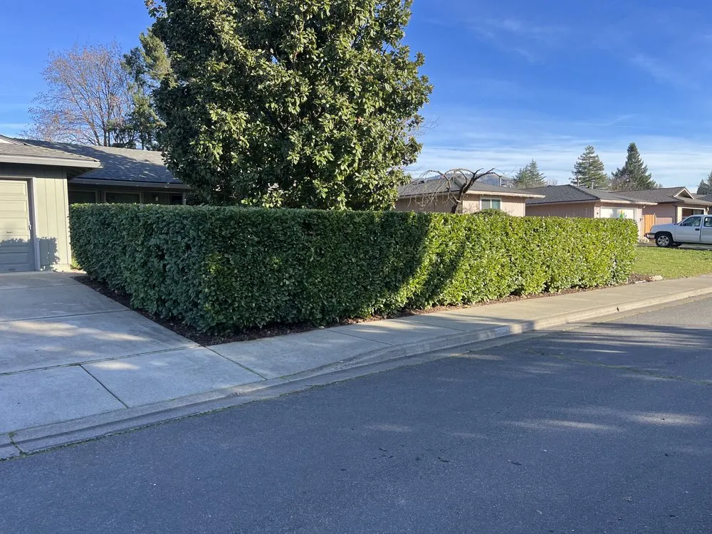 Professional yard cleanup service in Medford, OR - Grizzle’s Landscaping