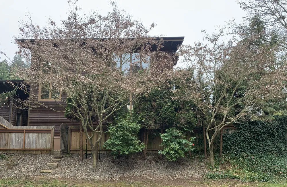 Top-rated yard maintenance experts serving Myrtle Creek, OR - Grizzle’s Landscaping