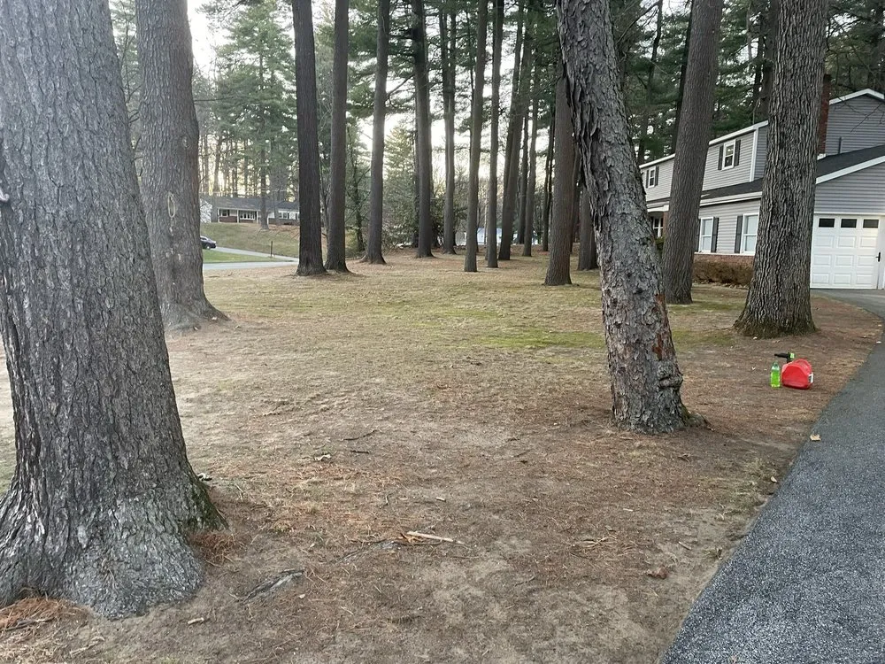 Professional landscape installation experts serving Mechanicville, NY - Grizzley Scapes 518