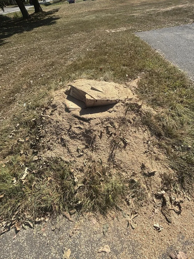 Reliable residential landscaping experts serving Mechanicville, NY - Grizzley Scapes 518