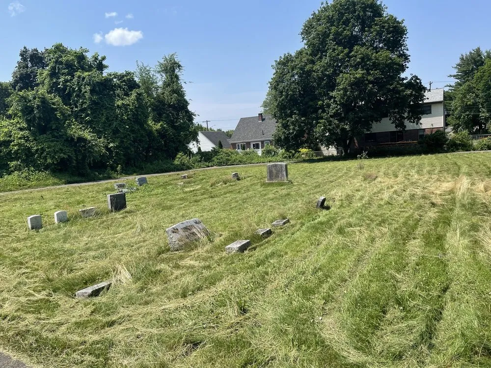 Professional landscaping services for year-round maintenance in Mechanicville, NY by Grizzley Scapes 518