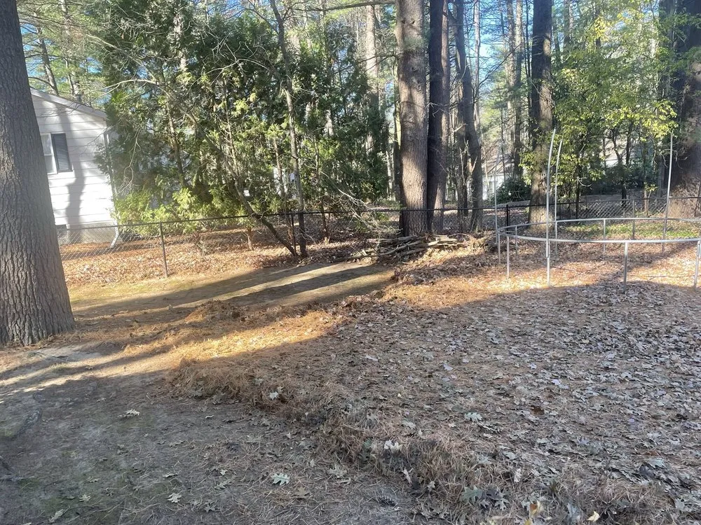 Professional landscape design with custom design in Mechanicville, NY by Grizzley Scapes 518