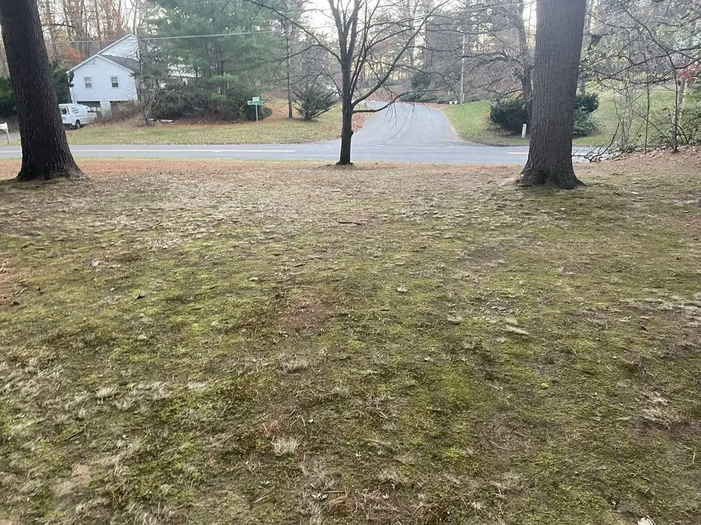 Reliable landscape installation in Mechanicville, NY by Grizzley Scapes 518