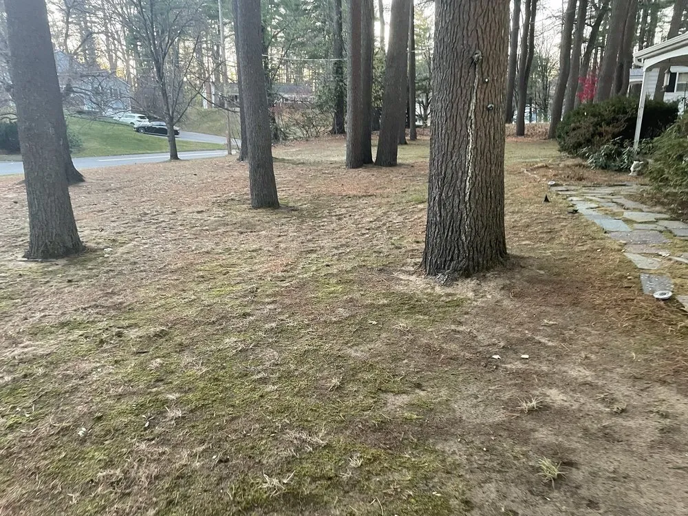 Trusted outdoor landscaping for residential properties across Mechanicville, NY - Grizzley Scapes 518