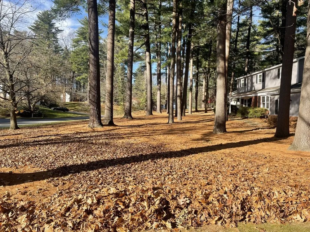 Affordable residential landscaping in Mechanicville, NY - Grizzley Scapes 518