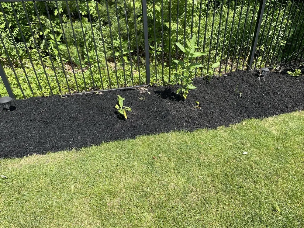 Top-rated lawn care service in Mechanicville, NY - Grizzley Scapes 518