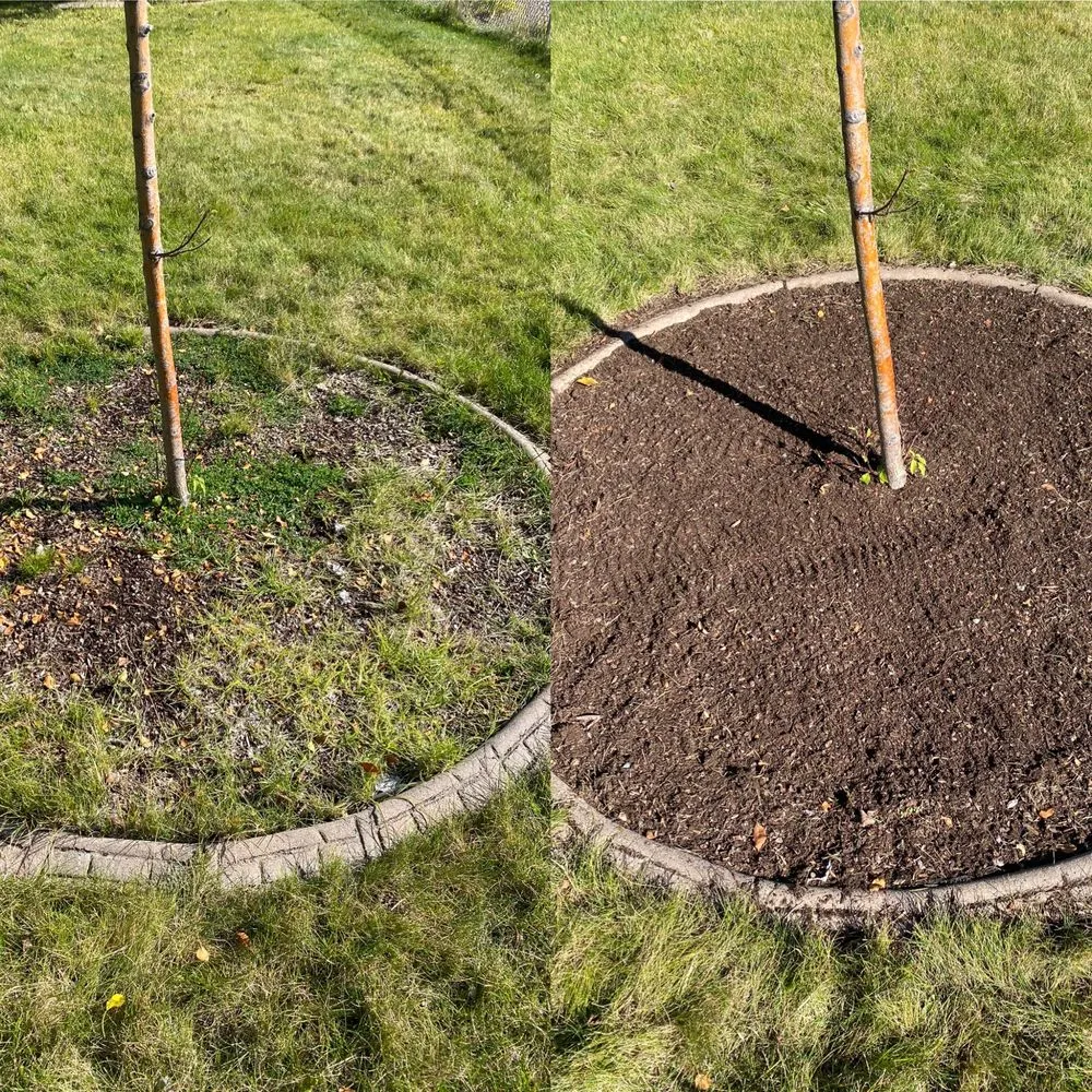 Professional landscape design in Belgrade, MT - Grizzly Bear Lawn Care