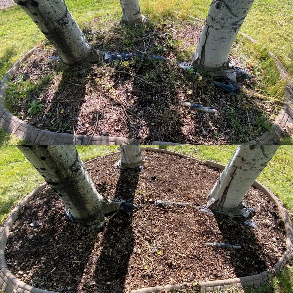 Local yard cleanup service in Belgrade, MT by Grizzly Bear Lawn Care