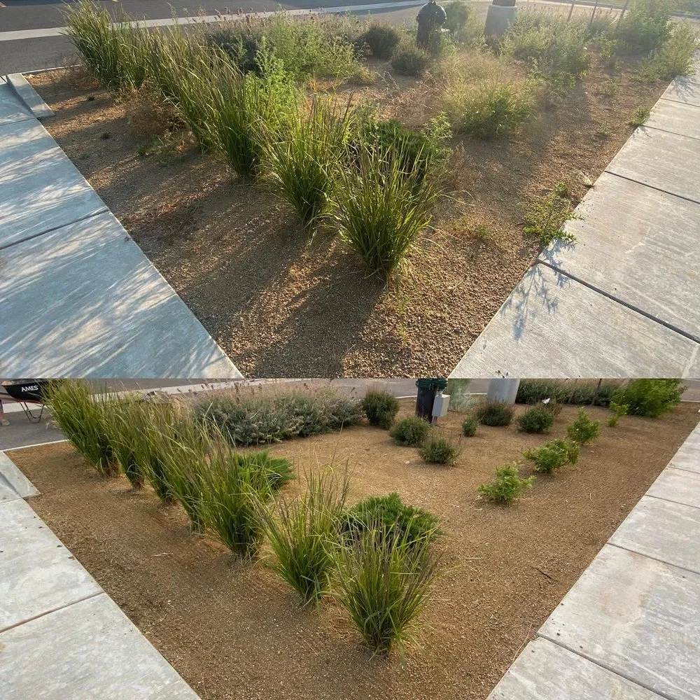 Local residential landscaping in Belgrade, MT - Grizzly Bear Lawn Care