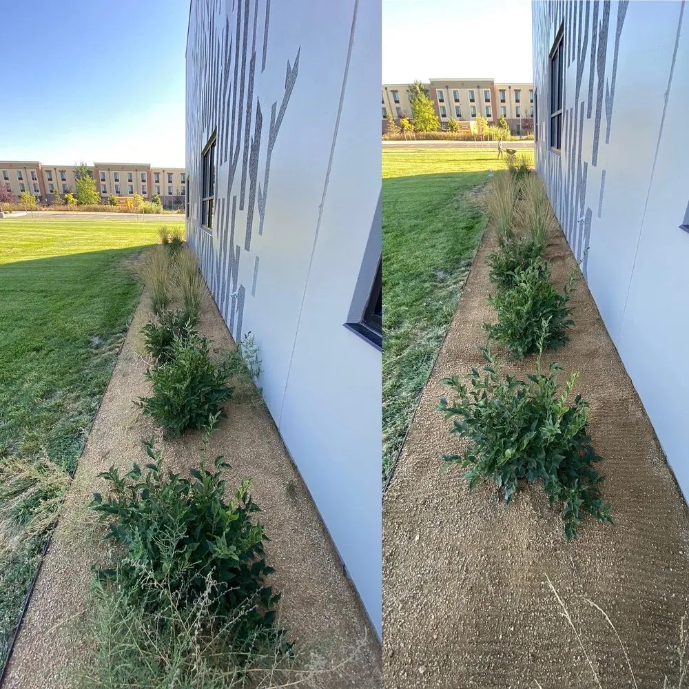 Affordable lawn mowing service in Belgrade, MT by Grizzly Bear Lawn Care