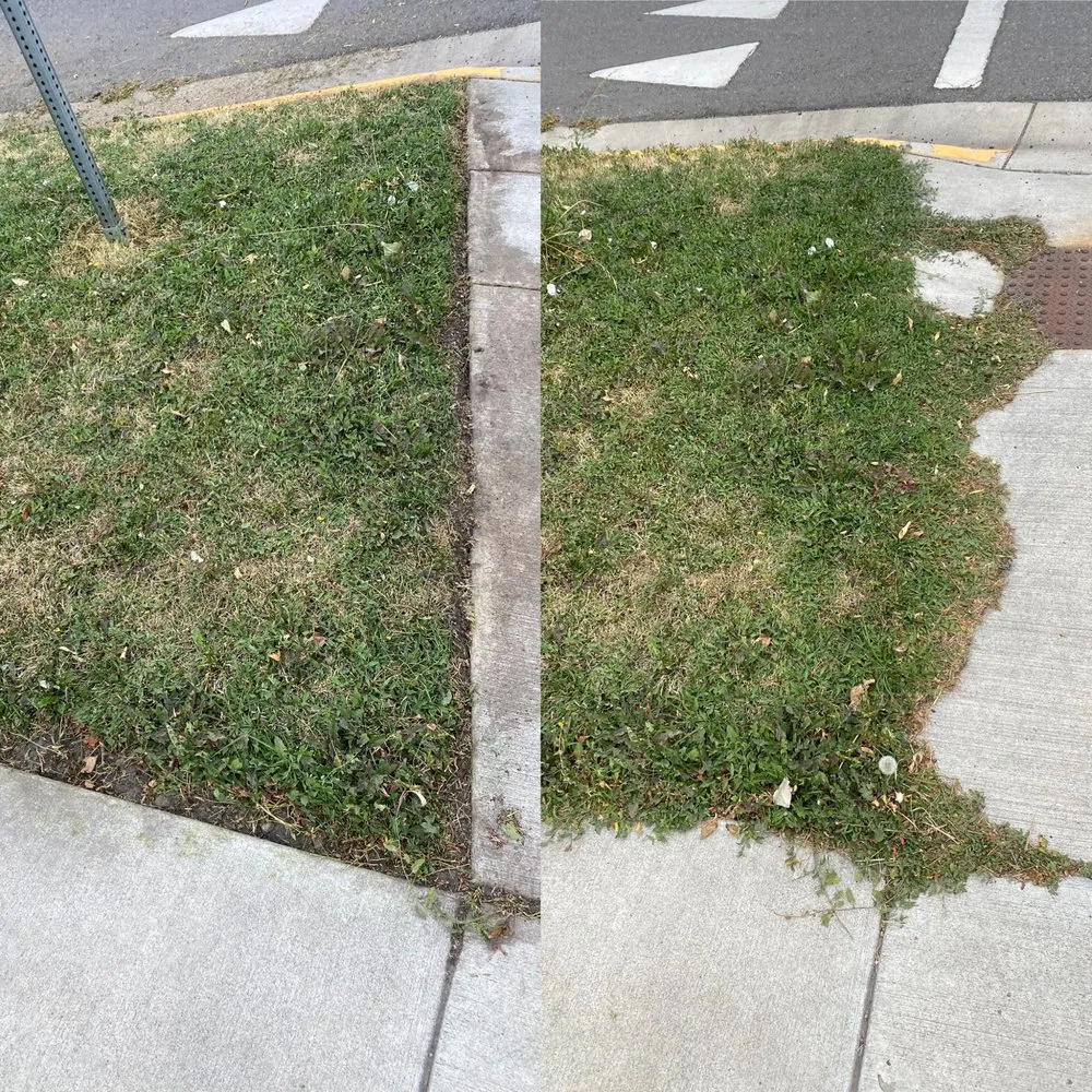 Reliable lawn care service in Belgrade, MT by Grizzly Bear Lawn Care