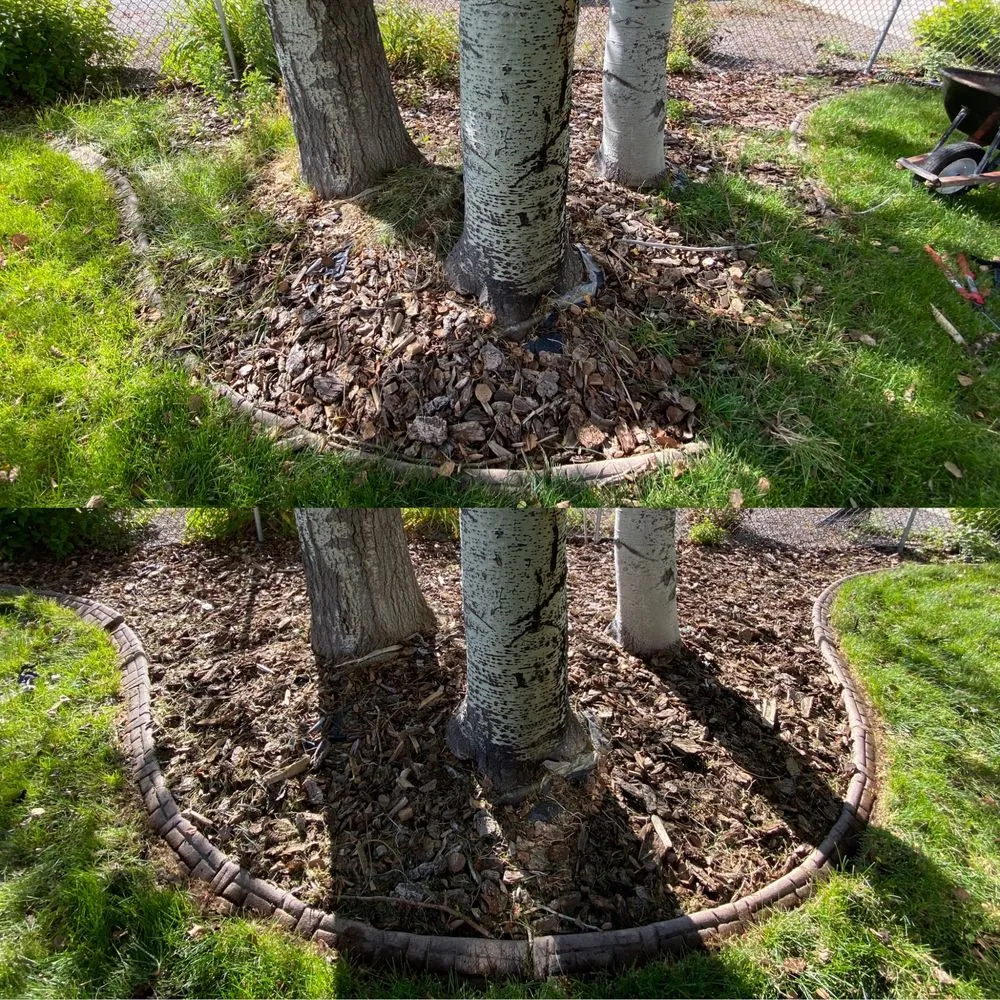 Top-rated yard cleanup service experts serving Belgrade, MT - Grizzly Bear Lawn Care