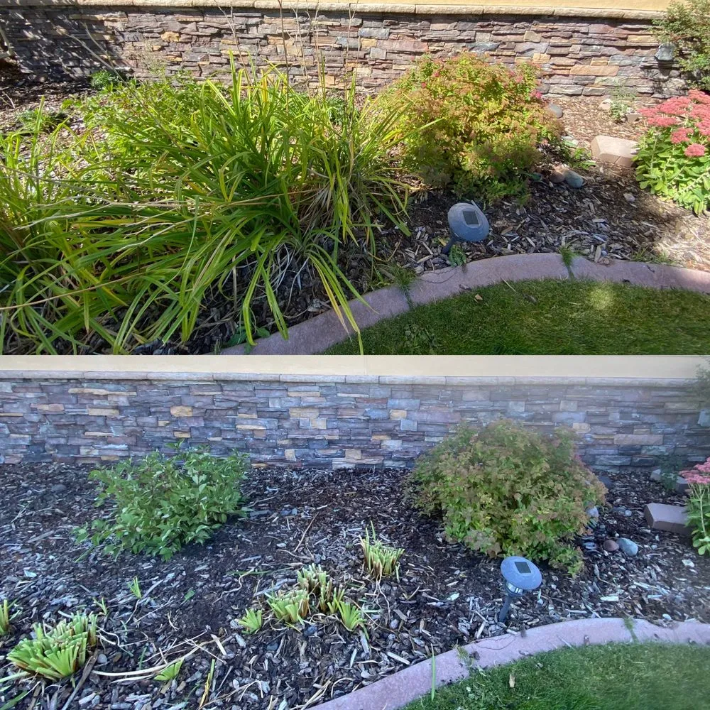 Affordable landscape design in Belgrade, MT - Grizzly Bear Lawn Care