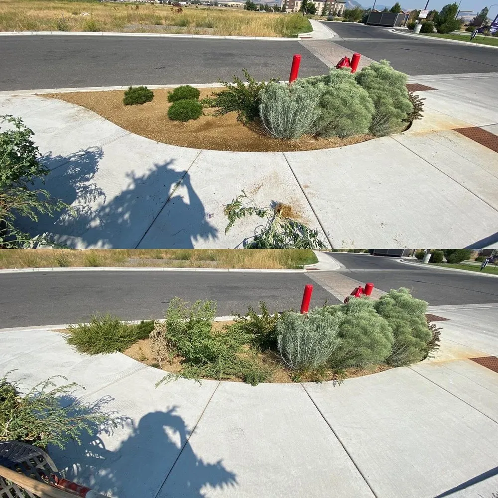 Trusted yard cleanup service in Belgrade, MT - Grizzly Bear Lawn Care