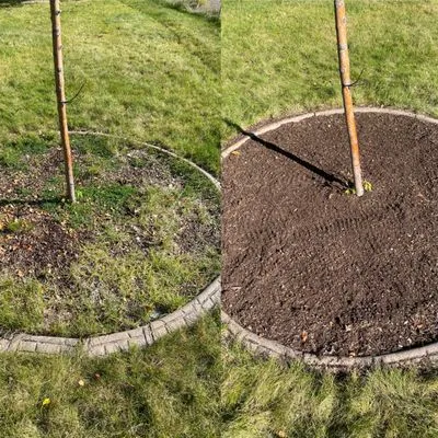 Grizzly Bear Lawn Care Logo