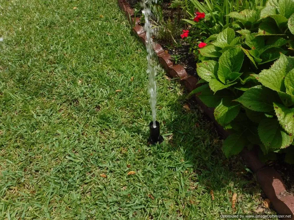 Top-rated garden landscaping experts serving Loveland, CO - Grizzly Bear Sprinkler Repair